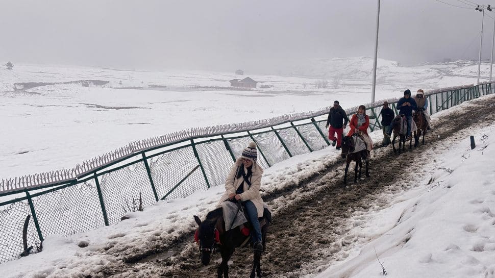 As Kashmirs Border Areas See Recent Snowfall, Met Dept Warns of Chilly Climate In Coming Days