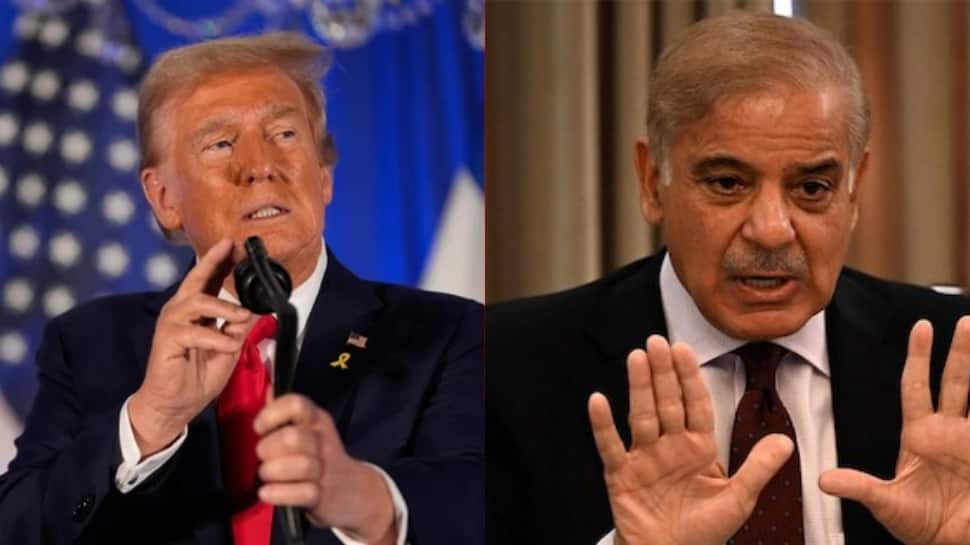 Trump’s Cupboard Decisions Fear Pakistan’s Policymakers, Favor Stronger US-India Ties