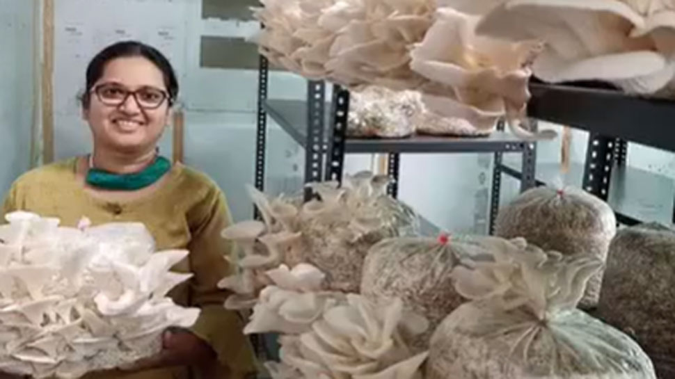 Emphasis on organic farming