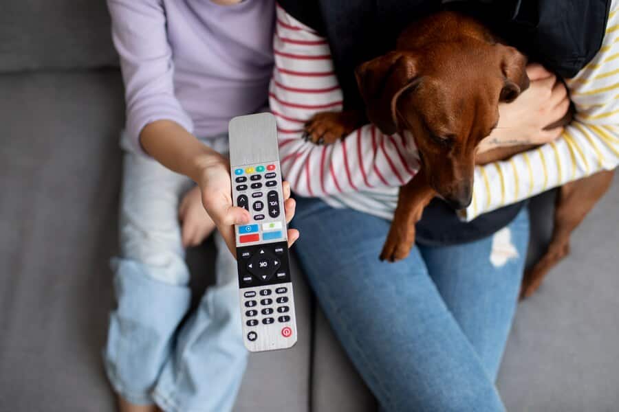 A Deep Dive into TV Remote Technology