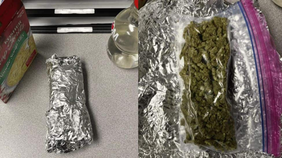 US Lady Shocked To Discover Marijuana As a substitute Of Burrito In Meals Supply