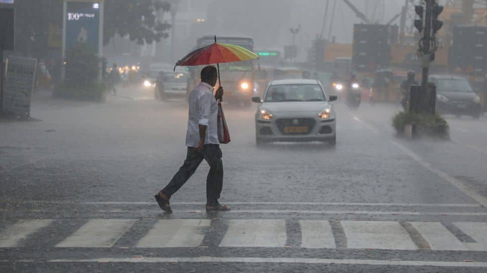 Cyclone Fengal Updates: IMD Alerts For Heavy Rain In Tamil Nadu; Flight Disruptions Proceed