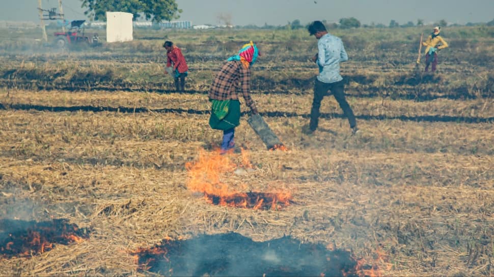 Gradual To Act: SC Flays Punjab, Haryana Govts Over Stubble Burning