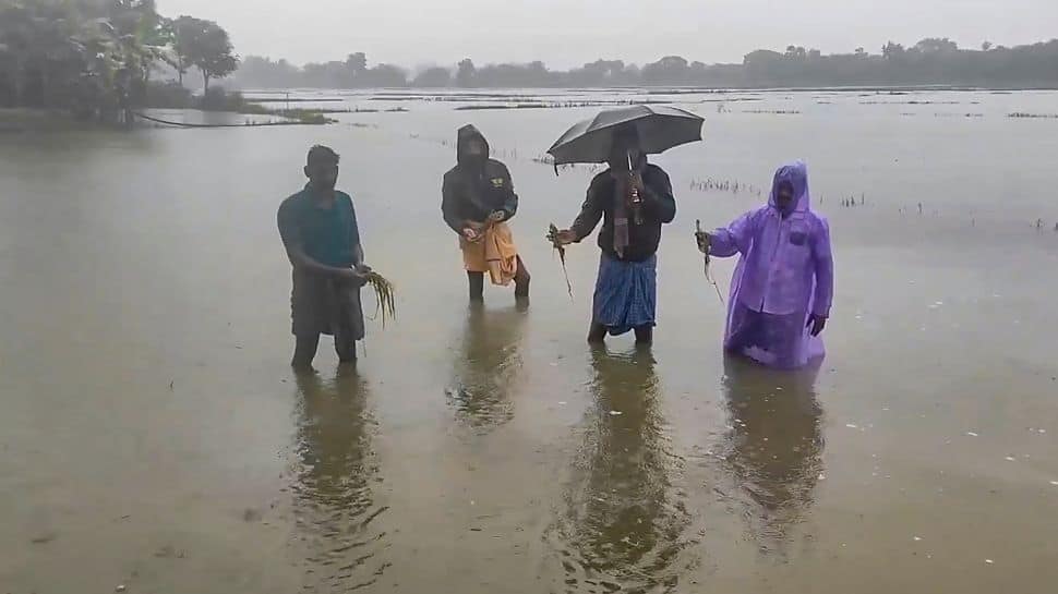 Cyclone Fengal Updates: IMD Predicts Extreme Rain In Tamil Nadu, Schools Closed In Puducherry| Key Highlights