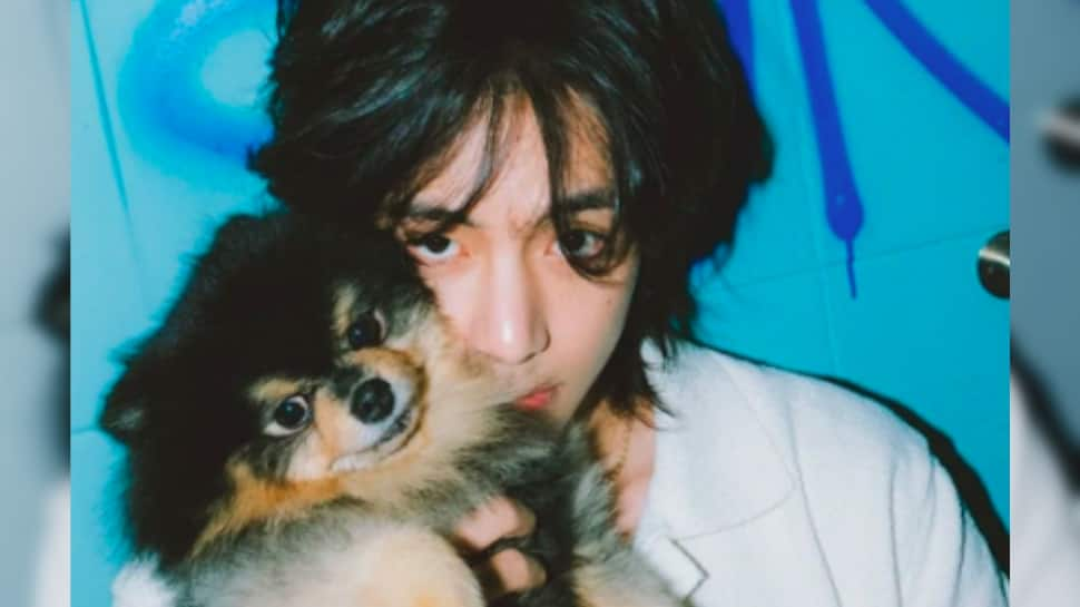 BTS's V Announces Heartbreaking News As His Beloved Dog Yeontan Passes Away