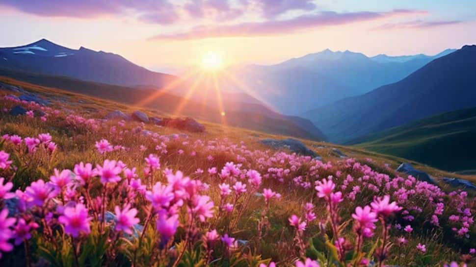 Valley of Flowers, Uttarakhand