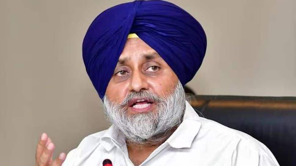 Sukhbir Badal Attacked: Man Opens Fireplace At SAD Chief At Golden Temple In Amritsar