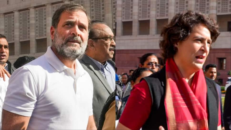 Rahul, Priyanka Be part of In As INDIA Bloc Leaders Proceed Protest Over Adani Difficulty, JPC Probe Demand — WATCH