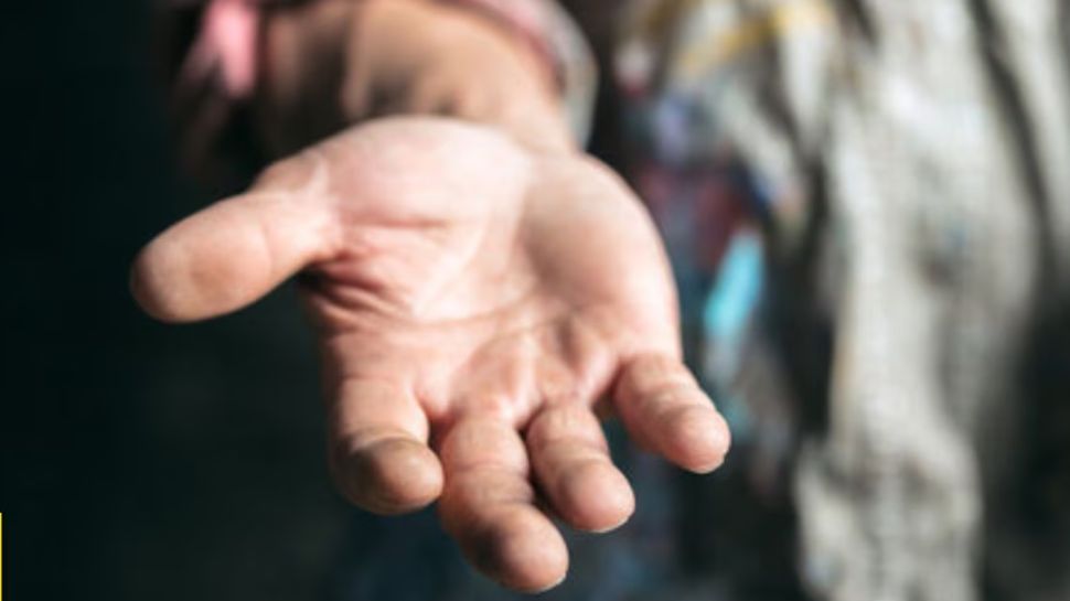 Impressive Net Worth