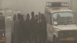 Severe Cold Wave Grips Kashmir and Ladakh, Temperatures Plunge Below Freezing
