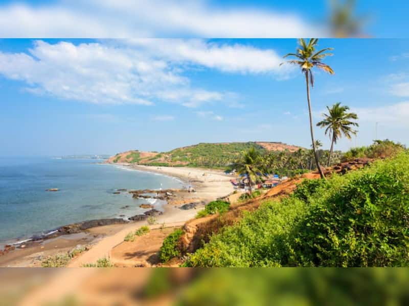 9 Hidden Gems In Goa You Must Visit | News | Zee News