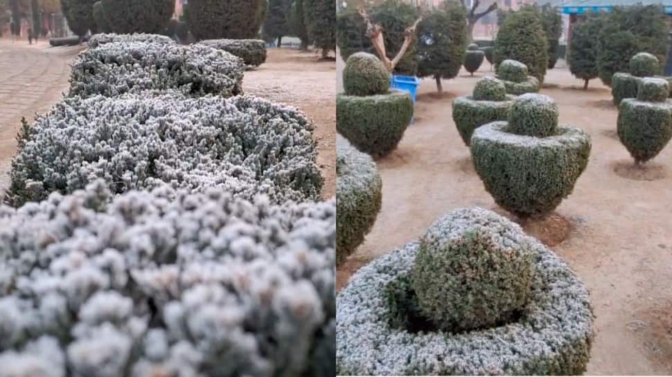 Kashmir And Ladakh Shiver In Cold Wave: Srinagar's Temperature Hits Minus 5.4°C
