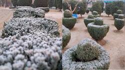 Kashmir & Ladakh Shiver In Cold Wave: Srinagar's Temperature Hits Minus 5.4°C