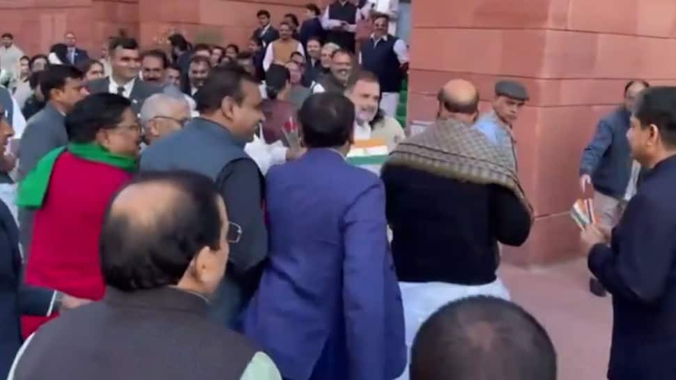 Watch: Rahul Fingers Tricolour To Rajnath Singh Amid Oppn’s Tiranga, Roses Protest Over Adani Difficulty