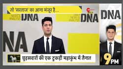 DNA: Sarataj Horse Gains Spotlight Ahead of Mahakumbh