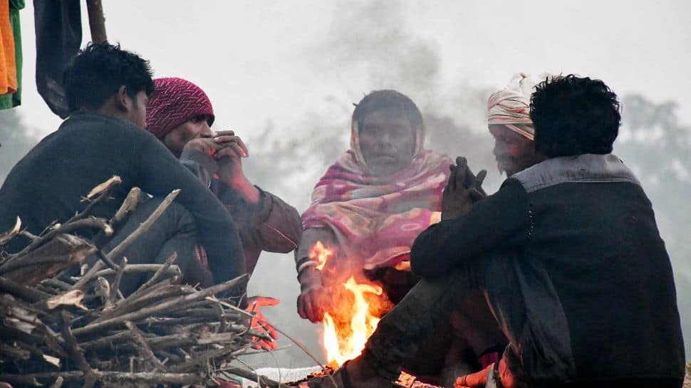 Chilly Winds Grip Punjab, Haryana: These Districts Stay Coldest With 1 Diploma Celsius