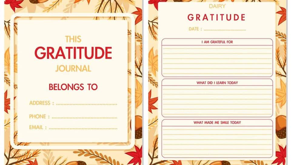 Practice gratitude journaling 