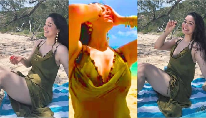 Sara Tendulkar's Fun Beach Day At Australia's Great Barrier Reef, Video Goes Viral - Watch