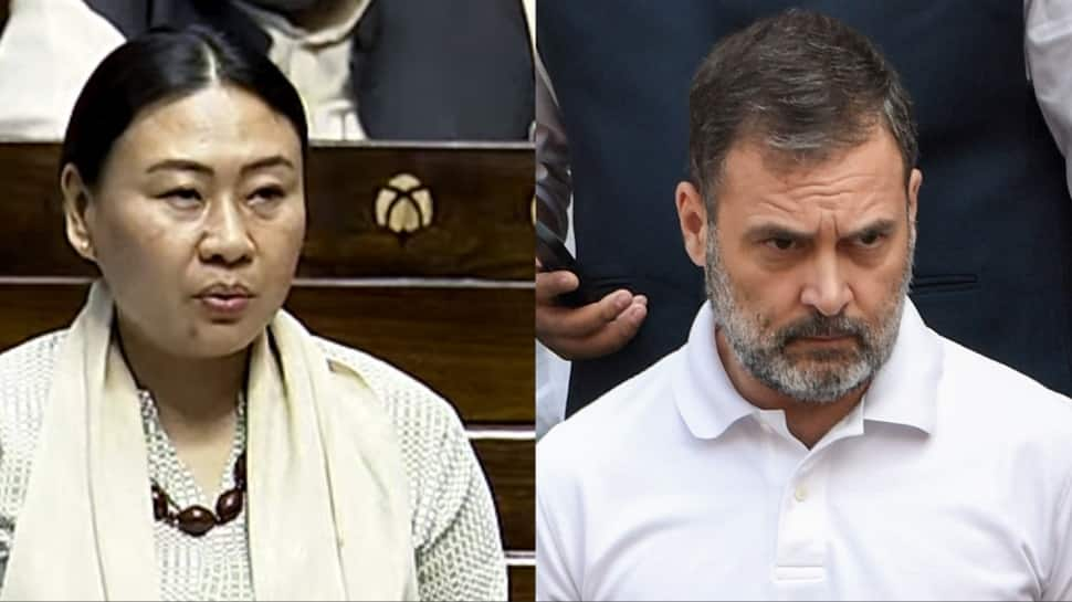 Misbehaved With Me In Loud Voice: BJP MPs Large Declare Towards Rahul Gandhi Amid Parliament Chaos