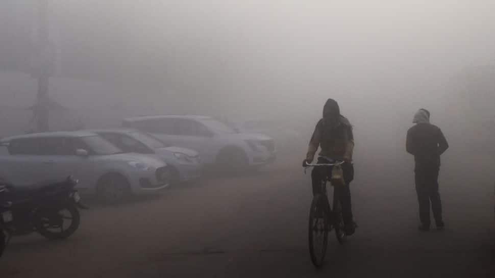 Climate Replace: Chilly Wave Sweeps Delhi, AQI Stays Extreme As Temperature Drops