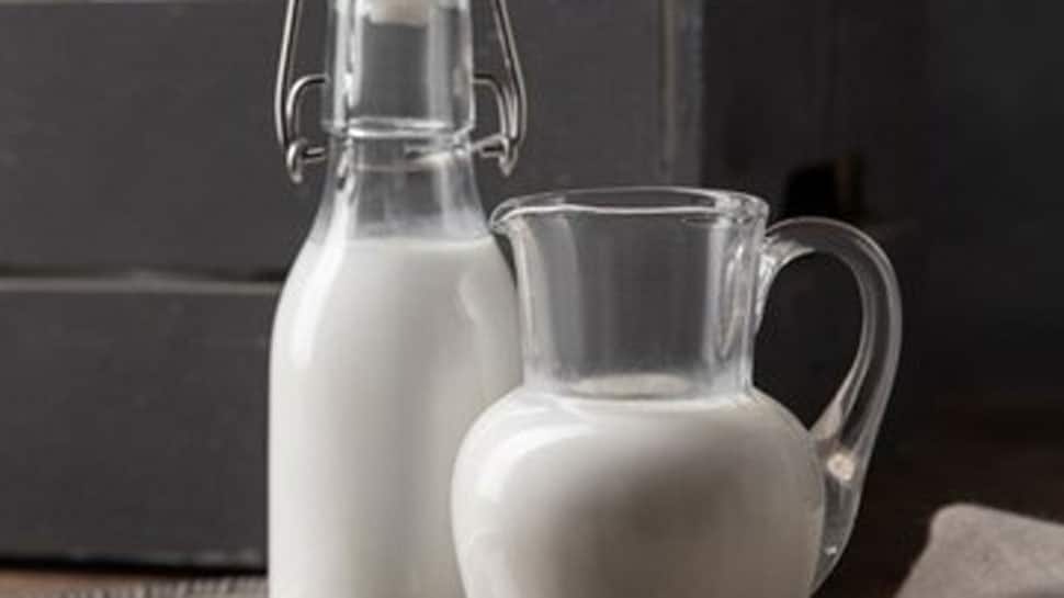 3. Milk Dairy