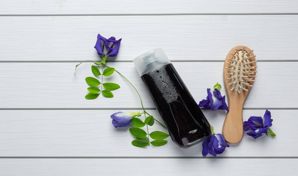 Buy These Top 5 Best Shampoos for a Salon-Fresh Look Buy These Top 5 Best Shampoos for a Salon-Fresh Look