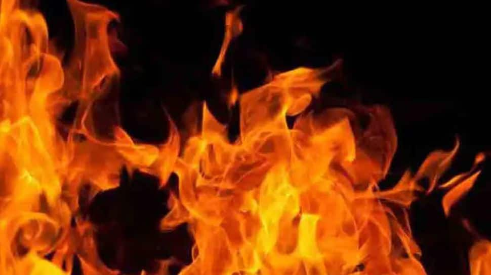 Madhya Pradesh: 4 Of Household Killed In Fireplace At Milk Parlour-Cum-Home In Dewas