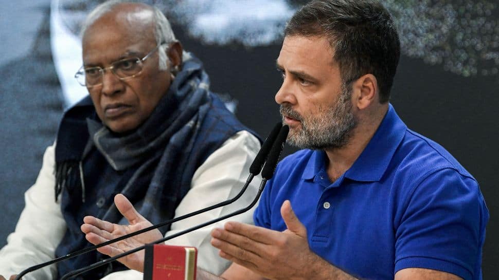 Congress To Hold Press Conferences In 150 Cities, Demand Amit Shahs Resignation Over Ambedkar Remarks