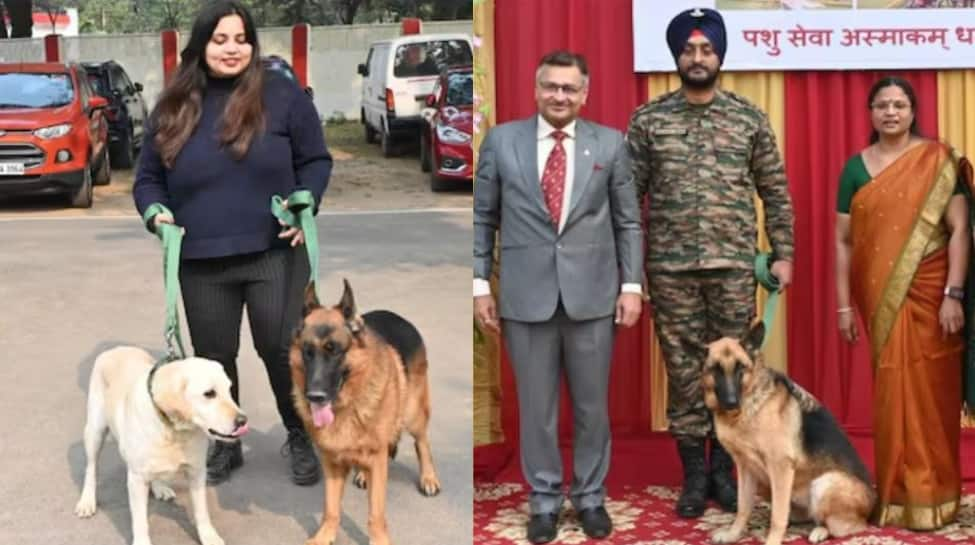 From Battlefield To Forever Homes: Indian Armys Initiative For Retired Military Dogs