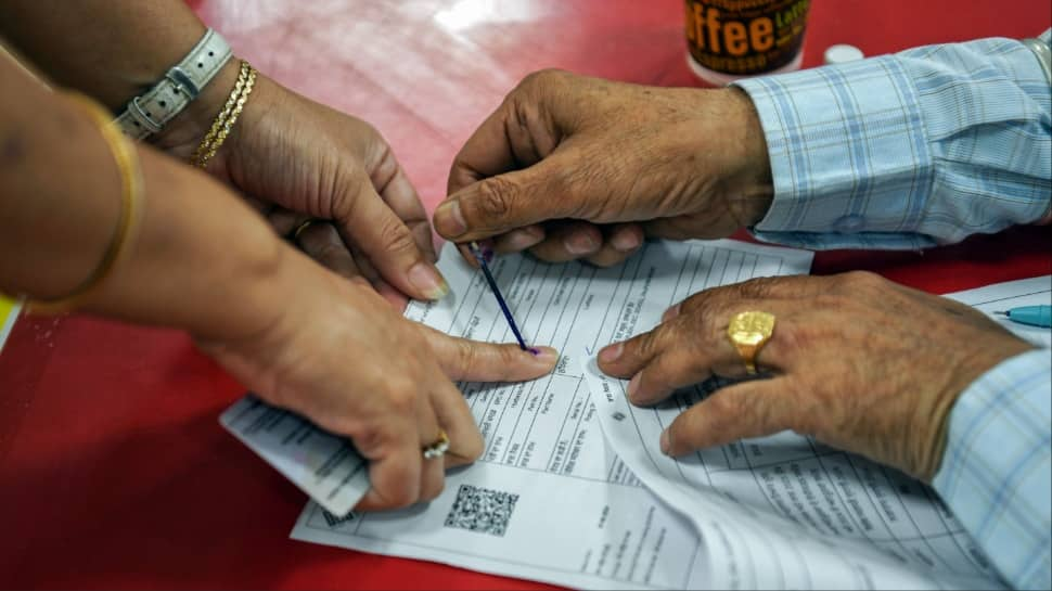 Over 64% Voters Polled Throughout 2024 Lok Sabha Elections 2024: EC Releases Electoral Dataset — Test Right here