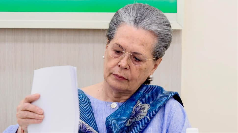 Mahatma Gandhis Legacy Below Risk From…: Sonia Gandhi Slams Central Govt At CWC Meet