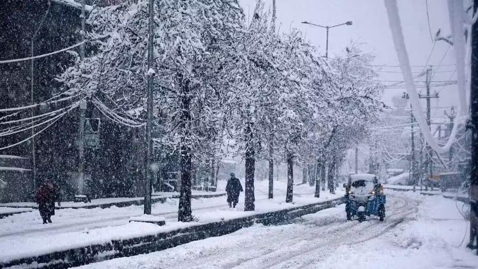 Snowfall Brings Cheer to Kashmir, Ladakh, and Chenab Valley Amid Western Disturbance