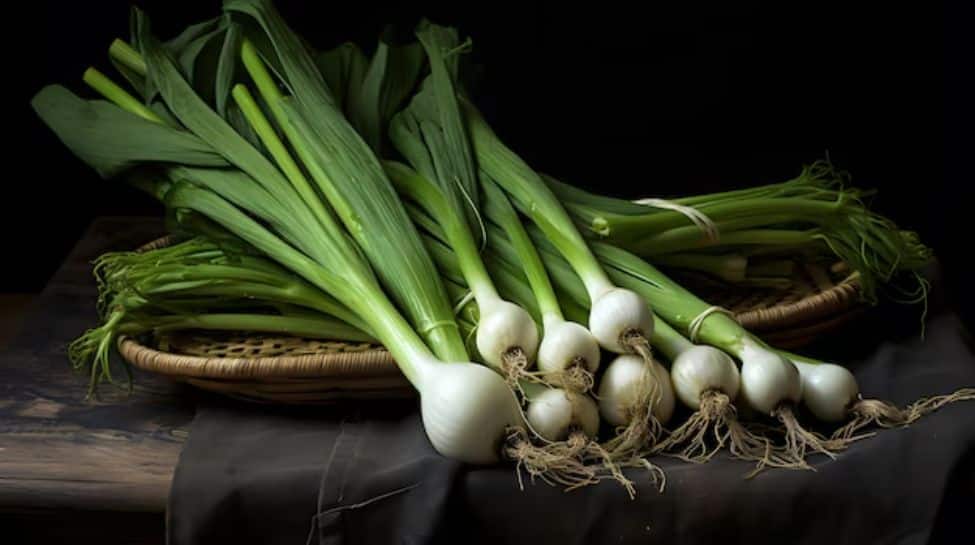 Two Spring Onions Leave How To Grow Spring Onions In Your Balcony Or Kitchen Garden Easily ...