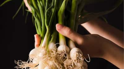 How to Grow Spring Onions at Home Easily: A Step-by-Step Guide