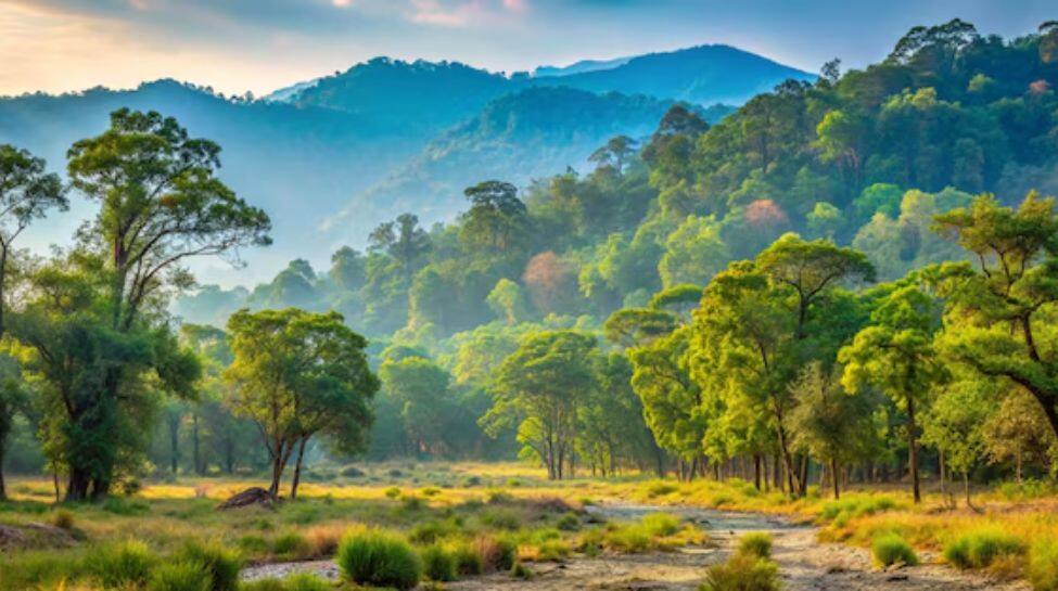 Jim Corbett National Park, Uttarakhand