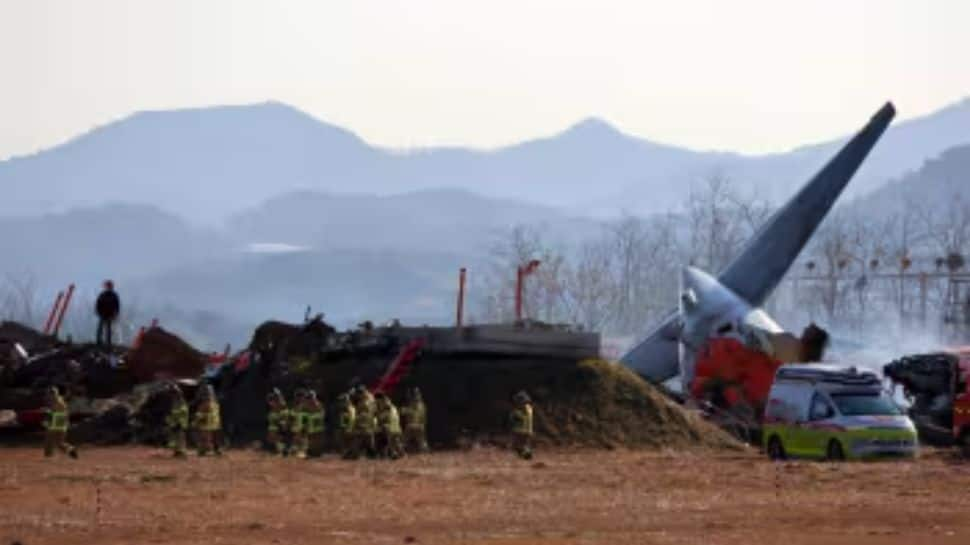 Deeply Saddened: India Expresses Condolences Over Tragic South Korea Airplane Crash