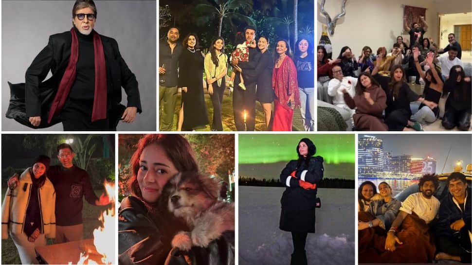 New Year 2025: Amitabh Bachchan, Kamal Haasan, Ranbir Kapoor, And Other Celebs Celebrate And Share Positive Wishes