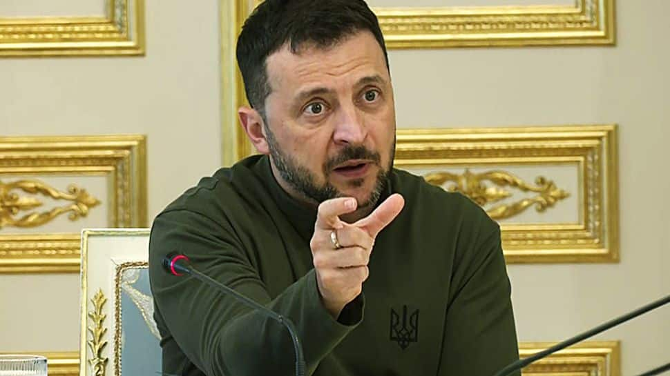 Grain From Ukraine: Zelenskyy Units Up Fund For Stabilising Syria