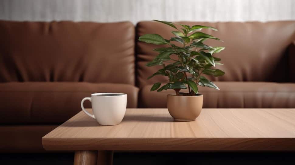Complete Your Living Room: Buying the Right Coffee Table