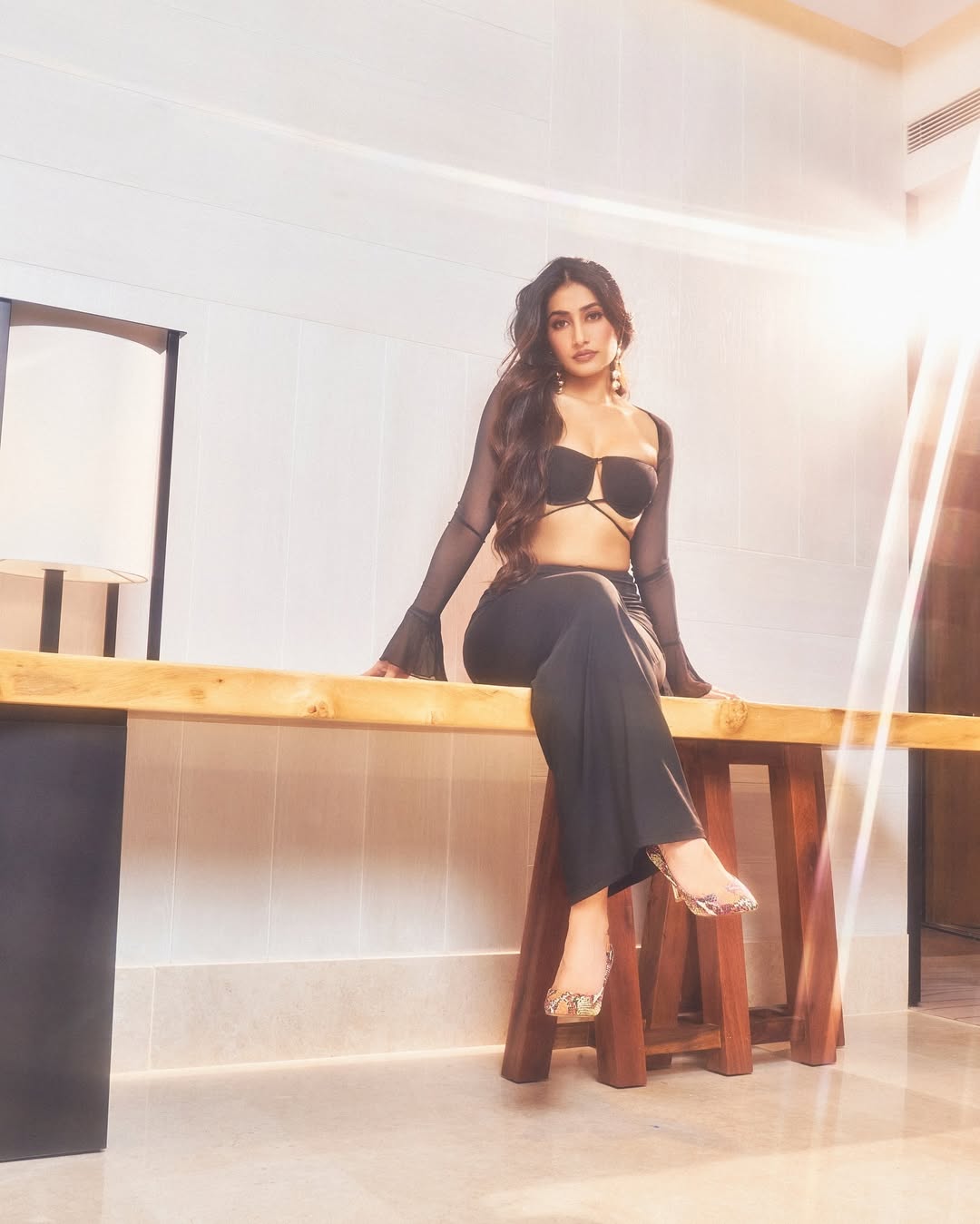 Dhanashree’s Diverse Career