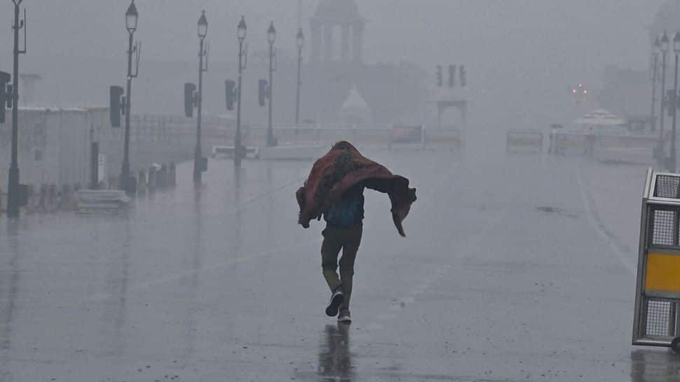 Delhi Climate: A number of Practice, Flight Delays As Dense Fog Grips Nationwide Capital; Air High quality Stays Very Poor