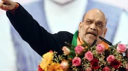 ‘People Showed Pawar, Uddhav Thackeray Their Place’: Shah Slams MVA Allies