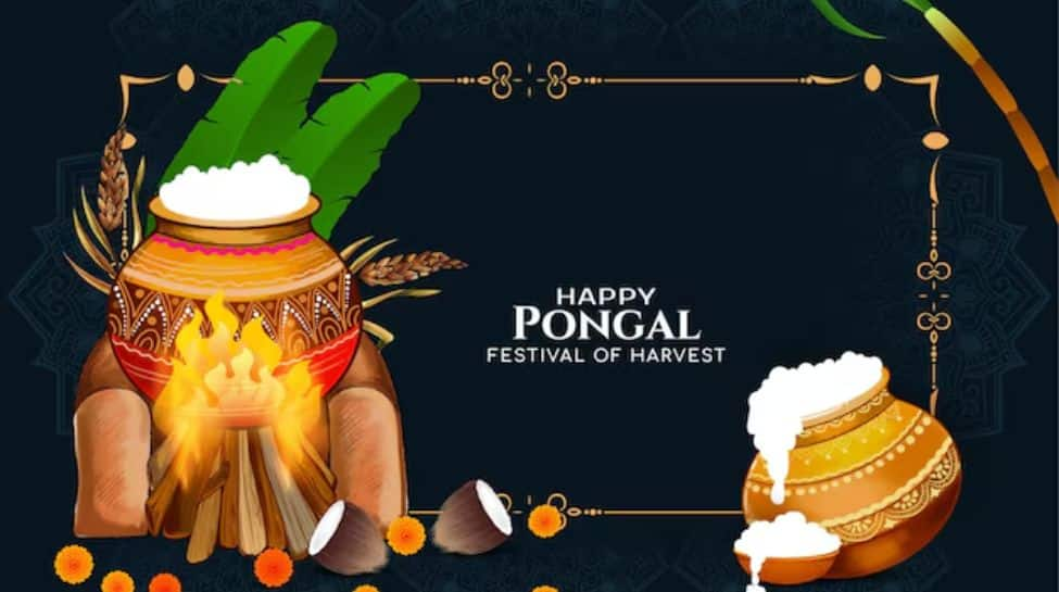 Happy Pongal 2025: Best Wishes, Messages And Images To Share With Family And Friends