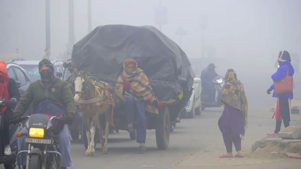 Climate Replace: IMD Points Orange Alert For Dence Fog In Delhi, Predicts Heavy Rain In Tamil Nadu — Examine Full Forecast