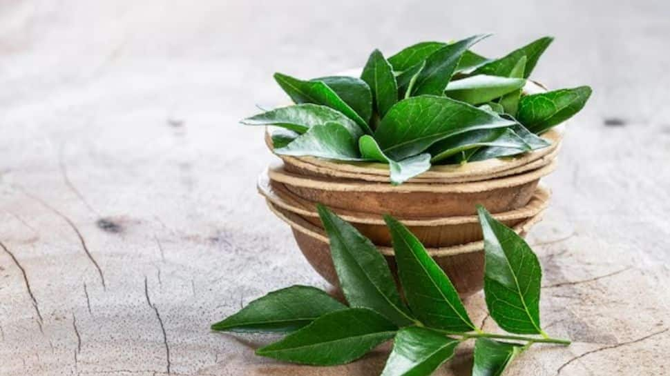 Hair Care Made Easy: Check Natural Ways To Use Raw Curry Leaves For Shiny, Frizz Free And Healthy Looks