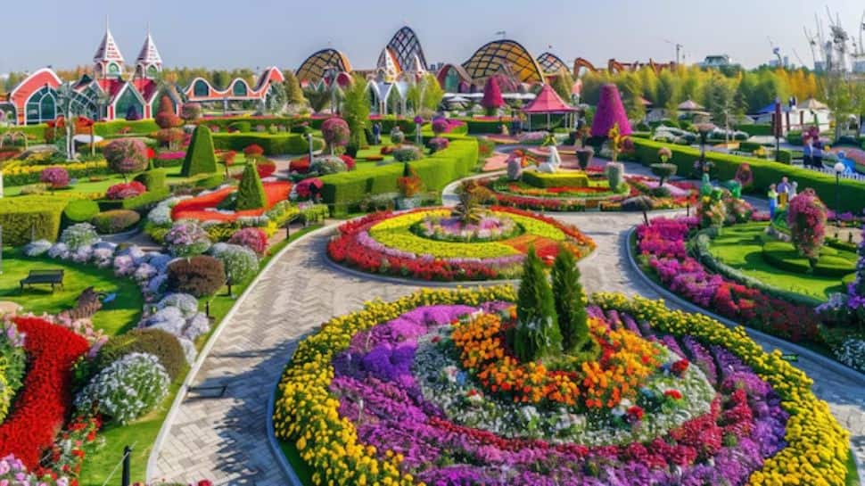 The Dubai Miracle Garden