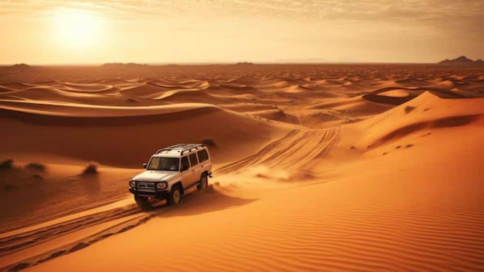A Desert Safari
