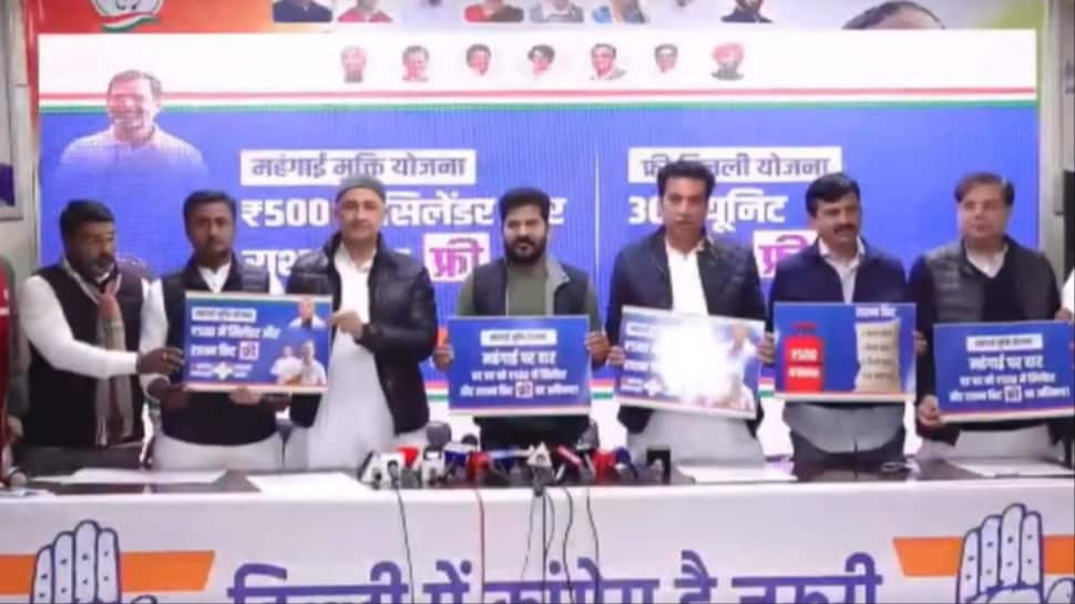 Free Electrical energy To LPG Cylinders: Congress Launches Mehngai Mukt Yojana To Counter AAP In Delhi Polls