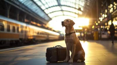 Traveling with Your Dog on Indian Railways