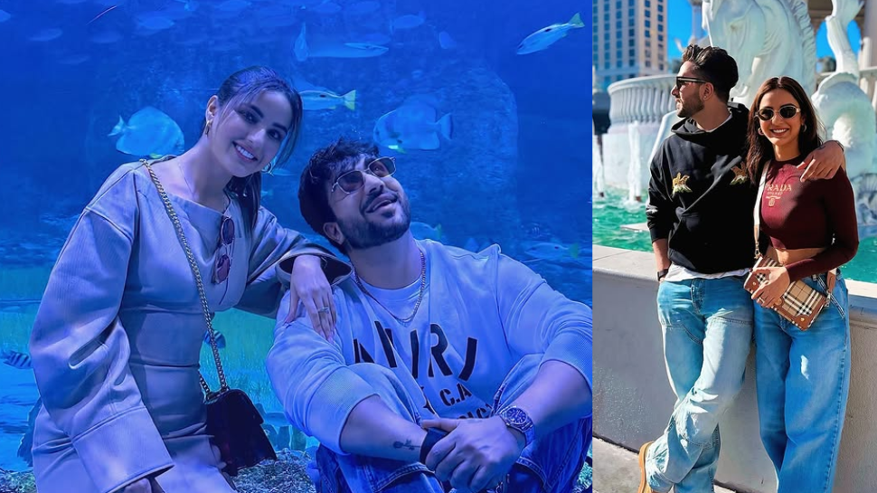 Aly Goni and Jasmin Bhasin (BB 14)
